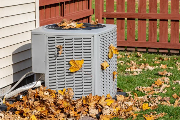 Best HVAC Air Duct Cleaning  in Ragland, AL
